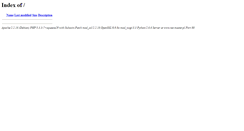 Desktop Screenshot of net.master.pl